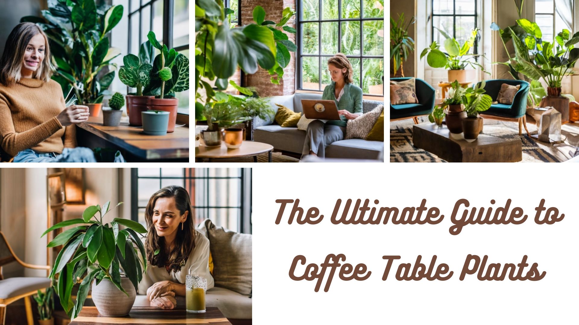 The Ultimate Guide to Coffee Table Plants